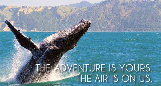 The Adventure is yours. The Air is on us.